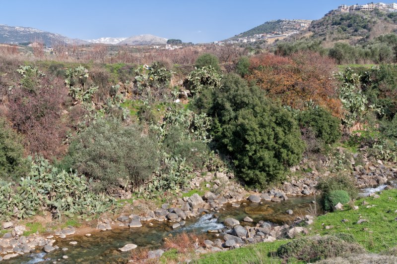 Sa'ar Stream, Golan Heights | Sa'ar Stream in Golan Heights (IMG_8579.jpg)