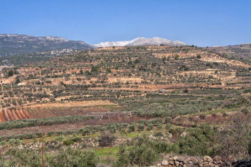 Sa'ar Stream in Golan Heights (IMG_8612.jpg)