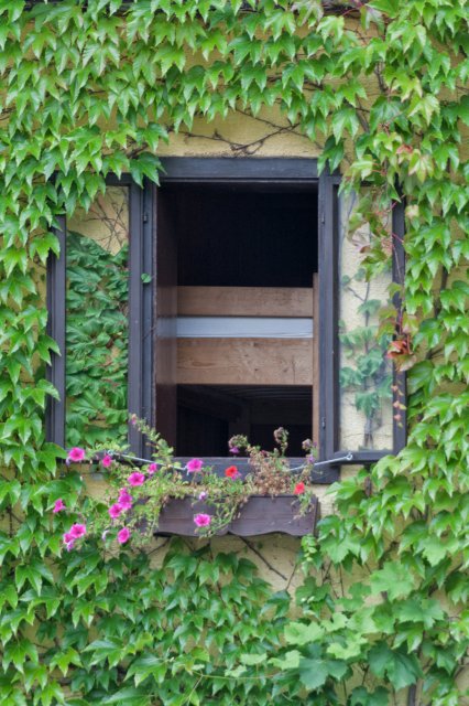 Hallstatt, Salzkammergut, Gmunden, Upper Austria | Salzkammergut region, Austria (IMG_7206.jpg)