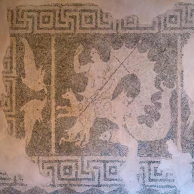 Scylla Mosaic, House of Dionysos, Paphos Archaeological Park, Cyprus | Cyprus - Paphos (IMG_2542.jpg)