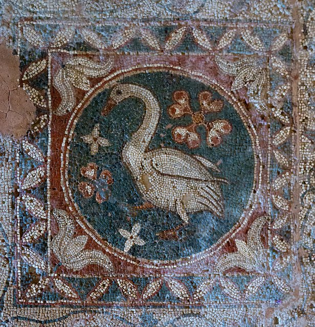 The Swan Mosaic, Soli, Cyprus | Cyprus - North (IMG_2855.jpg)