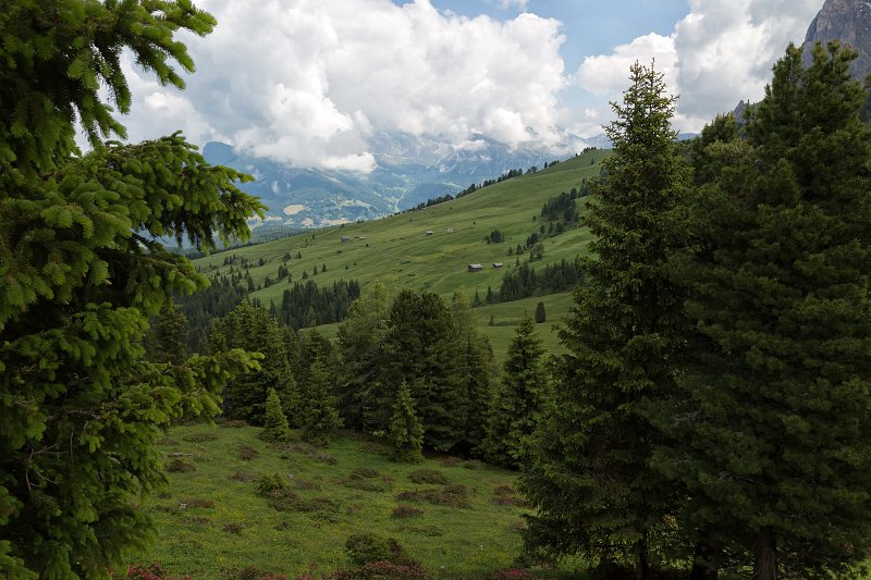 Via Saltria, Alpe di Siusi (Seiser Alm), South Tyrol, Italy | The Dolomites I (IMG_3180.jpg)