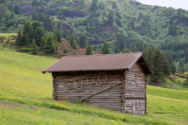Hut at Via Saltria, Alpe di Siusi (Seiser Alm), South Tyrol, Italy | The Dolomites I (IMG_3277.jpg)
