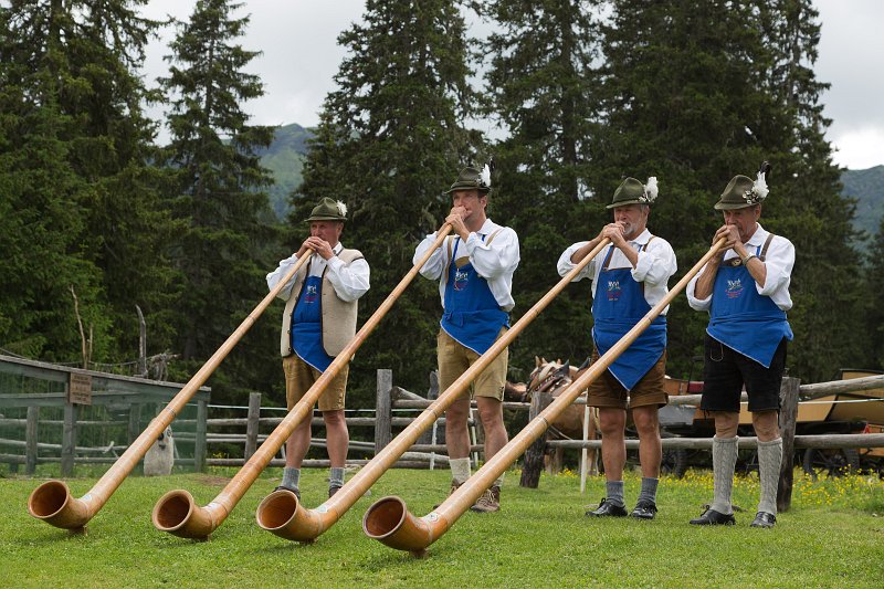 Alphorn Players, Saltria, Alpe di Siusi, South Tyrol, Italy | The Dolomites I (IMG_3338.jpg)