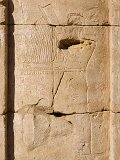 Harp Player, Birth House, Temple of Horus, Edfu