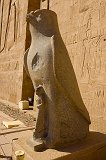 Statue of Horus as a Falcon, First Pylon, Temple of Horus, Edfu, Egypt
