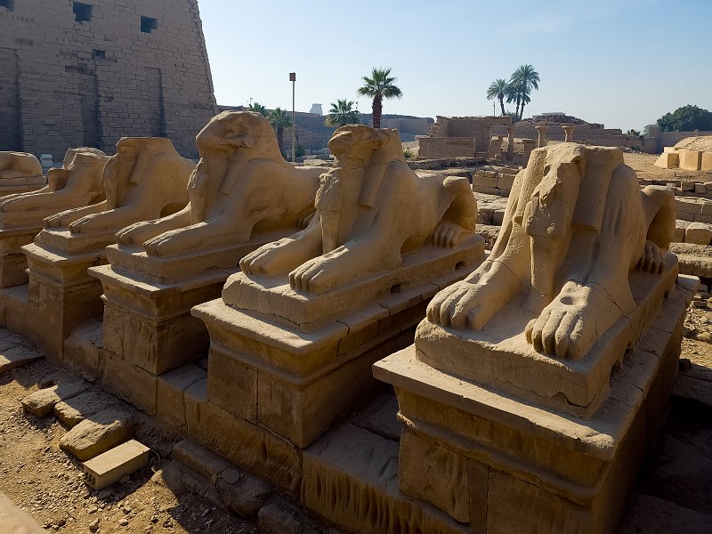 Ram-Headed Sphinx Statues, Temple of Amun-Re, Karnak | Karnak Temple Complex, Egypt (20230218_091254.jpg)