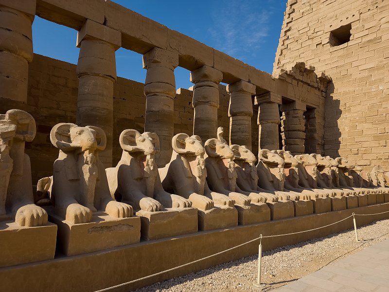 Ram-Headed Sphinx Statues at Forecourt, Temple of Amun-Re, Karnak | Karnak Temple Complex, Egypt (20230218_092519.jpg)
