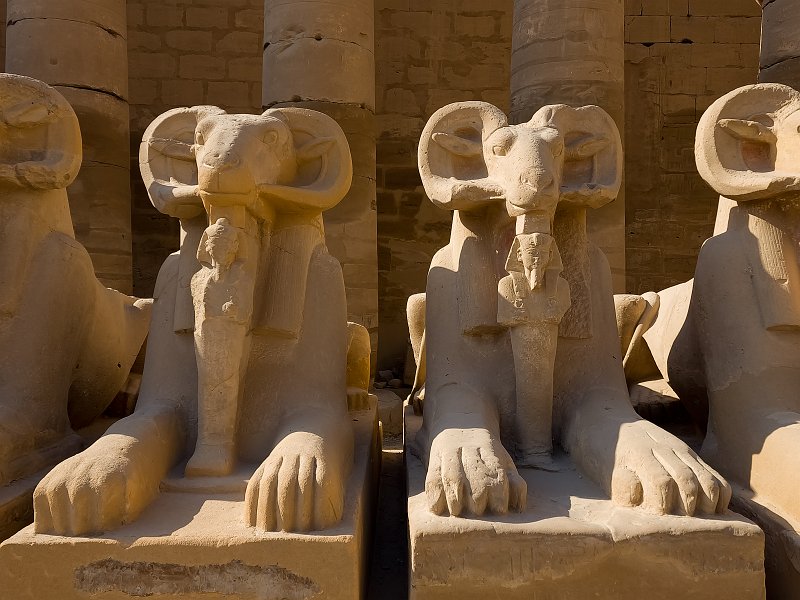 Ram-Headed Sphinx Statues at Forecourt, Temple of Amun-Re, Karnak | Karnak Temple Complex, Egypt (20230218_092555.jpg)
