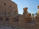 Ram-Headed Sphinx Statues, Temple of Amun-Re, Karnak