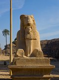 Sphinx Statue, Temple of Amun-Re, Karnak