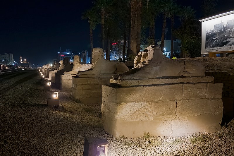 Luxor's Avenue of Sphinxes at Night | Luxor Temple, Egypt (20230218_183752.jpg)