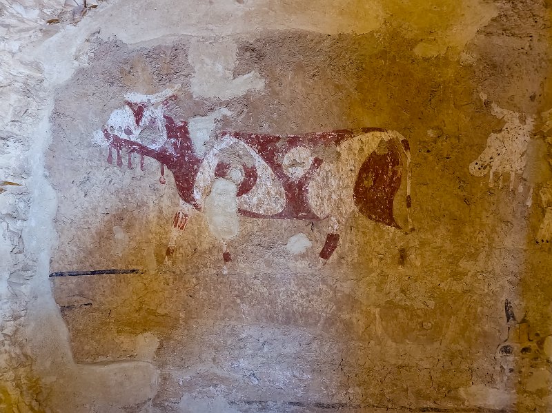 Parade of Cows, Tomb of Ankhtifi, Mo'alla, Egypt | Tomb of Ankhtifi - Mo'alla, Egypt (20230222_084905.jpg)