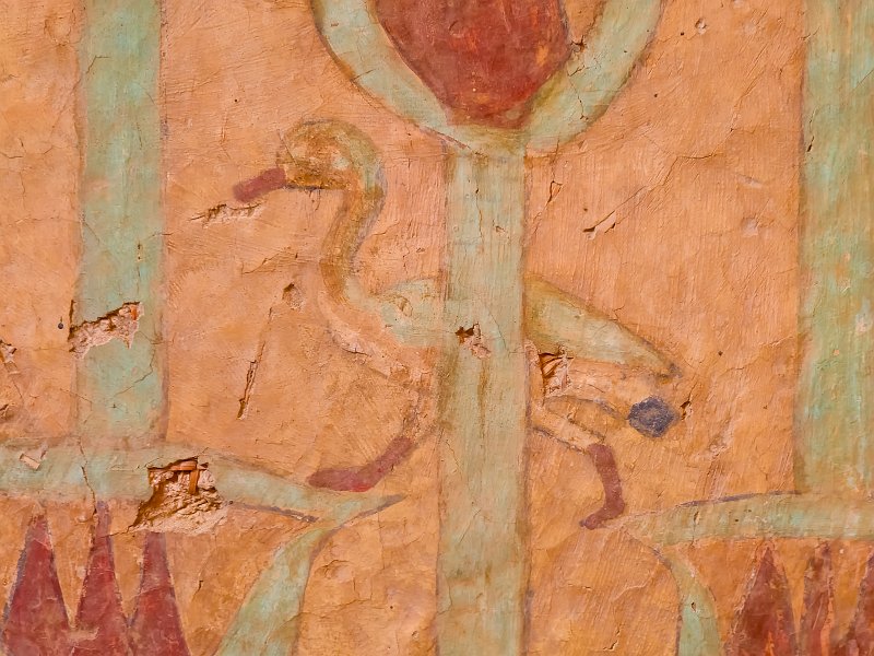Duck, Tomb of Ankhtifi, Mo'alla, Egypt | Tomb of Ankhtifi - Mo'alla, Egypt (20230222_085254.jpg)