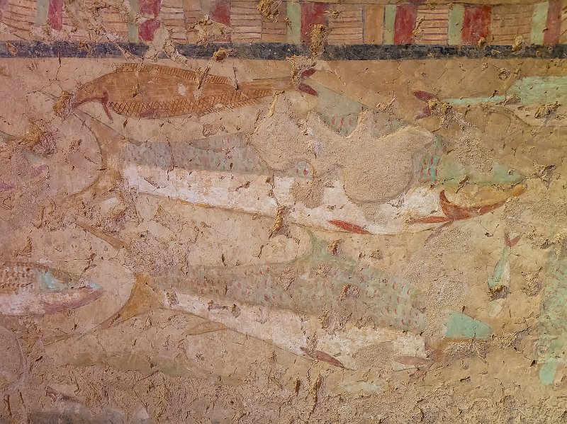 Fish in the Marsh, Tomb of Ankhtifi, Mo'alla, Egypt | Tomb of Ankhtifi - Mo'alla, Egypt (20230222_085432.jpg)