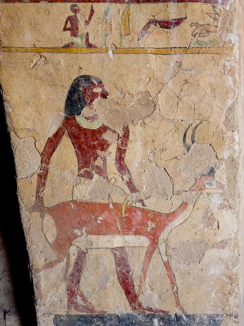 A Man Leads a Gazelle, Tomb of Ankhtifi, Mo'alla | Tomb of Ankhtifi - Mo'alla, Egypt (20230222_085636.jpg)