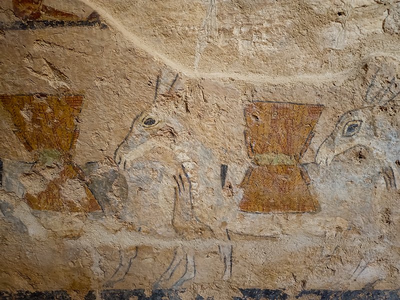 Parade of Donkeys Loaded with Sheaves of Corn, Tomb of Ankhtifi | Tomb of Ankhtifi - Mo'alla, Egypt (20230222_085815.jpg)