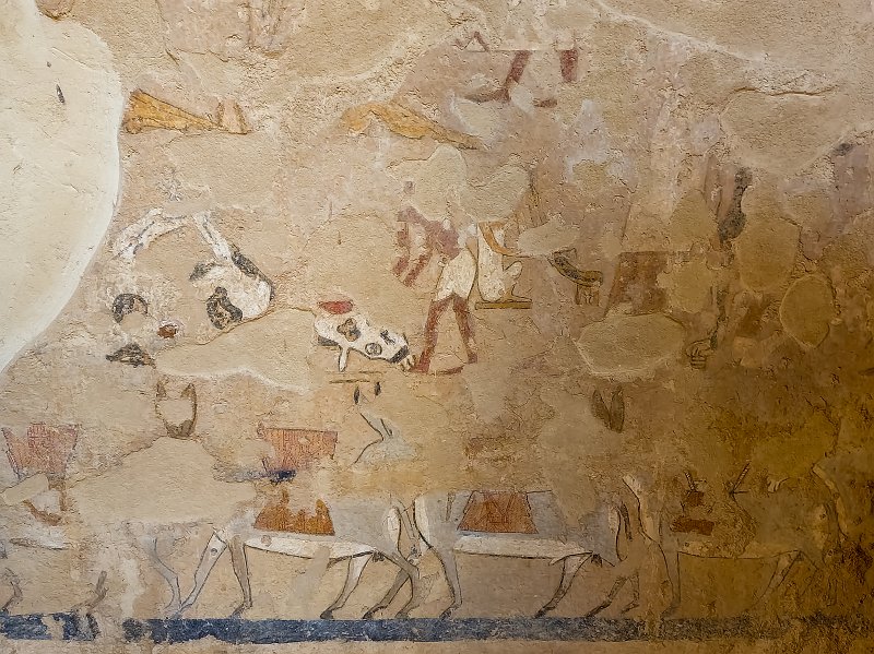 Butchery and Harpist, Tomb of Ankhtifi, Mo'alla, Egypt | Tomb of Ankhtifi - Mo'alla, Egypt (20230222_085900.jpg)