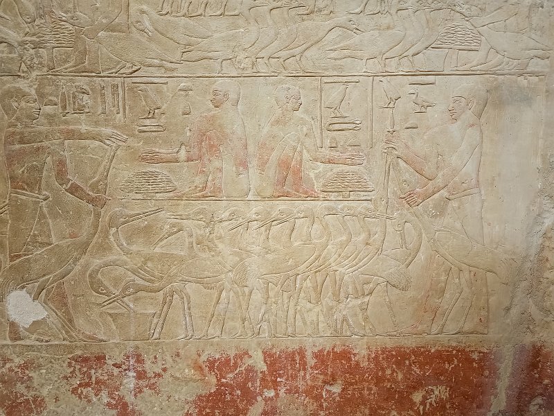Painting on a Wall, Tomb of Mereruka, Saqqara | Saqqara, Egypt (20230216_133805.jpg)