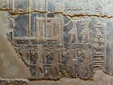 Paintings on the Wall, Tomb of Mereruka, Saqqara