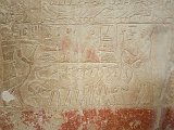 Painting on a Wall, Tomb of Mereruka, Saqqara