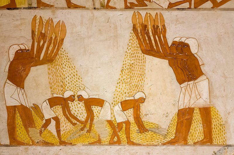 Winnowing of Grains, Tomb of Menna, Sheikh Abd el-Qurna | The Valley of the Nobles - Sheikh Abd el-Qurna, Egypt (20230219_113448.jpg)