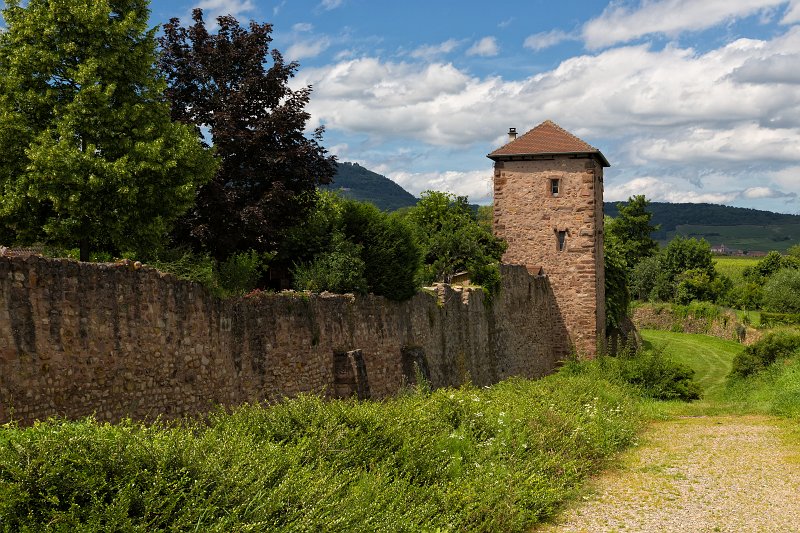 The Square Tower and Fortification, Bergheim, Alsace, France | Bergheim - Alsace, France (IMG_3297.jpg)