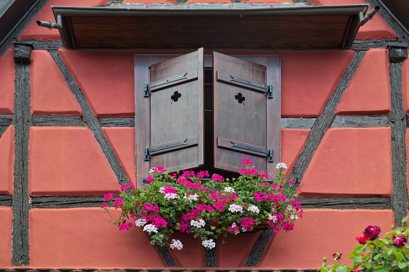 Window and Geraniums, Bergheim, Alsace, France | Bergheim - Alsace, France (IMG_3319.jpg)