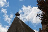 Storks Nest on Roof of the Church, Bergheim, Alsace, France