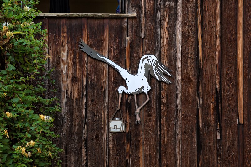 Stork on a Wooden Wall, Colmar, Alsace, France | Colmar Old Town - Alsace, France (IMG_2594.jpg)