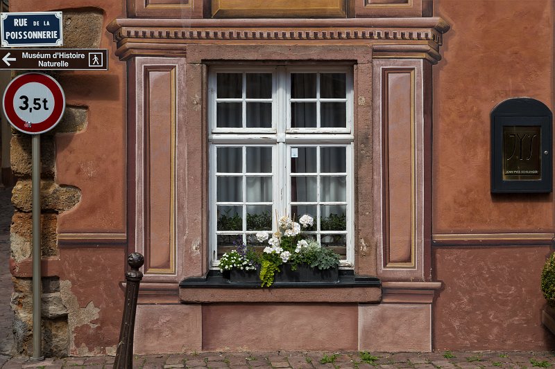 Decorated Window, Colmar, Alsace, France | Colmar Old Town - Alsace, France (IMG_2677.jpg)