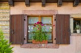 Window and Flowers, Colmar, Alsace, France