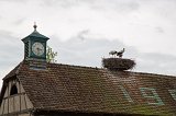 Storks Nest, Open Air Museum of Alsace, Ungersheim, France