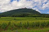 Haut-Koenigsbourg Castle and Surrounding Vineyards, Orschwiller, France