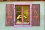Window and Orchids, Kaysersberg, Alsace, France