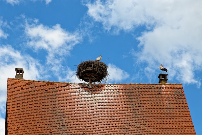 Storks on the Roof, Ribeauvillé, Alsace, France | Ribeauvillé - Alsace, France (IMG_3379_80.jpg)