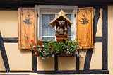 Bear in the Window, Ribeauvillé, Alsace, France
