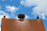 Storks on the Roof, Ribeauvillé, Alsace, France