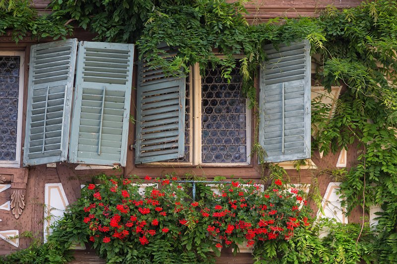 Old Window and Geranium Flowers, Turckheim, Alsace, France | Turckheim - Alsace, France (IMG_2462.jpg)