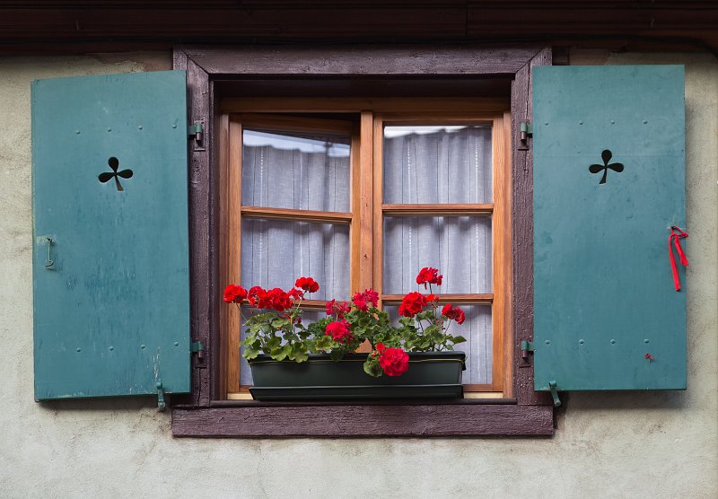 Window and Red Geranium Flowers, Turckheim, Alsace, France | Turckheim - Alsace, France (IMG_2498.jpg)