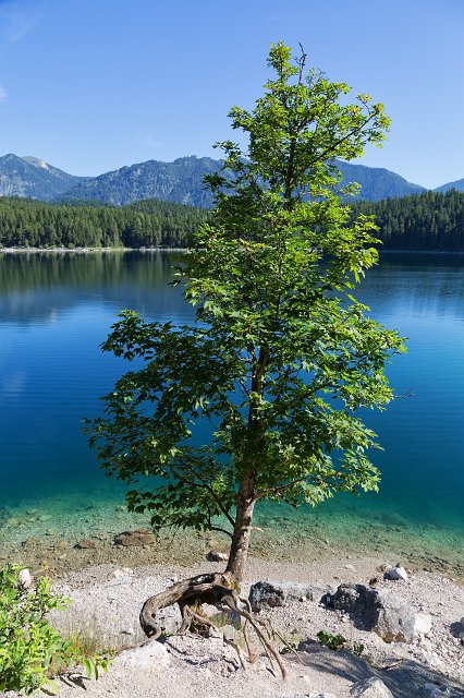 Lake Eibsee, Garmisch-Partenkirchen, Bavaria, Germany | South Bavaria, Germany - Part II (IMG_0558.jpg)