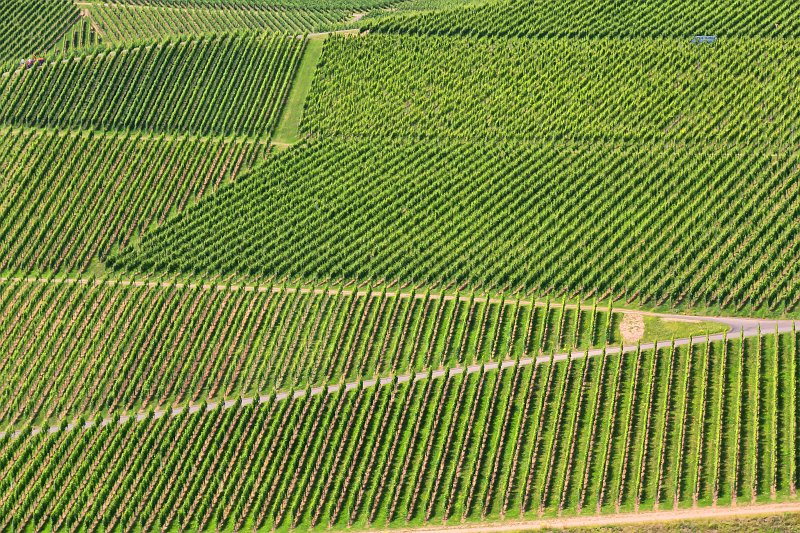 Vineyards of Durbach, Baden-Württemberg, Germany | Durbach and Oberkirch - Baden-Württemberg, Germany (IMG_6156.jpg)