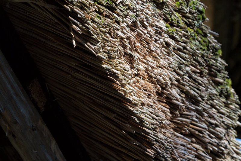 Detail of Roof, Black Forest Open Air Museum, Gutach im Schwarzwald, Germany | Black Forest Open Air Museum - Gutach im Schwarzwald, Germany (IMG_5858.jpg)