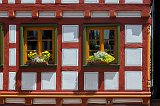 Windows and Flowers, Schiltach, Baden-Württemberg, Germany