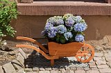 Wheelbarrow and Flowers, Schiltach, Baden-Württemberg, Germany