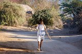 A Rabari Man Carrying a Large Bundle of Branches on His Head, Jawai, Rajasthan