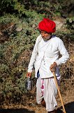 A Cattle Herder, Jawai, Rajasthan (India)