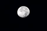 (Almost) Full Moon, Jawai Bandh Leopard Conservation Reserve