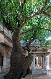 Ranakpur Jain Temple, Rajasthan, India
