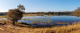 Malik Talao Lake, Ranthambore National Park, Rajasthan, India
